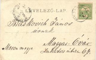 Tiszaújhely, Nove Selo; Vadászlak / hunting mansion, photo (EK)