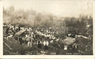 'Dojení ovcí na polonine' Carpathian Ukrainian farm, Ruthenian folklore, sheep milking, photo