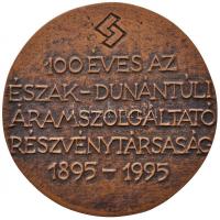 Cyránszki Mária 1995. "100 éves az Észak-Dunántúli Áramszolgáltató Részvénytársaság 1895-1995&q...