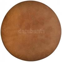 DN "Rózsa Ferenc" Br plakett (120mm) T:2