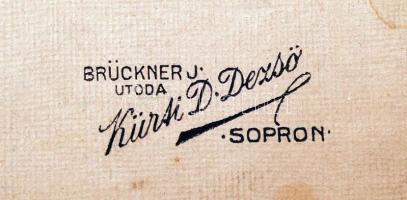 cca 1890 Népviseletben, Kürti D. Dezső Sopron, kartonra kasírozva, 20x15 cm