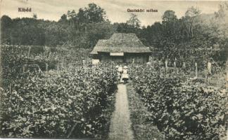 Kibéd, Gazdaköri méhes / beekeeping farm