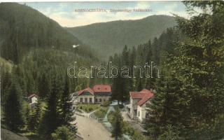 Körmöcbánya, Zólyom völgy, Vadászkürt szálloda, kiadja Holzmann Gyula / valley, hotel (EK)