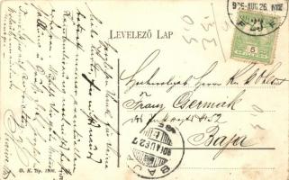 Budapest I. Fő utca környéke, kilátás a Margitszigetre; Divald Károly (EK)