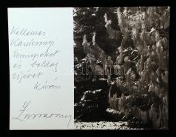 Lussa Vince (1924-2006) Balázs Béla-díjas magyar fotóművész aláírása karácsonyi üdvözlőlapon