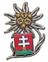 ~1930. "Magyar Turista Egyesület" hivatalos jelvénye, zománcozott fém (havasi gyopár benne körben MTE, alul kapcsolódik hozzá a pajzs a kettős kereszttel) "Boczan Károly, Budapest Csokonai u." gyártói jelzéssel (40,5x30mm) T:1- Hungary ~1930. "Hungarian Tourist Association" enamelled metal badge with makers mark "Boczan Károly, Budapest Csokonai u." (40,5x30mm) C:AU