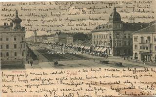 1901 Arad, Andrássy tér, Sörcsarnok és étterem / square, beer hall and restaurant (EK)