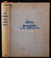 A. E. Johann: Mit zwanzig Dollar in den wilden Westen. Schicksale aus Urwald, Steppe, Busch und Stad...