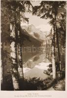 A. E. Johann: Mit zwanzig Dollar in den wilden Westen. Schicksale aus Urwald, Steppe, Busch und Stad...