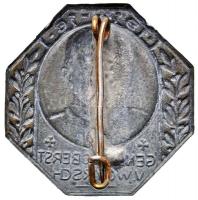 Osztrák-Magyar Monarchia 1914-1916. "Woyrsch vezérezredes" cink sapkajelvény, függőleges t...