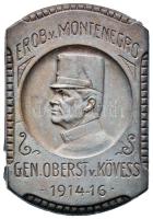 Osztrák-Magyar Monarchia 1914-1916. "Kövess vezérezredes főparancsnok, Montenegro meghódítója" horgany sapkajelvény, függőleges tű (40x27mm) T:2 Austro-Hungarian Monarchy 1914-1916. "EROB. V. MONTENEGRO - GEN. OBERST. V. KÖVESS" zin cap badge, vertical pin (40x27) C:XF