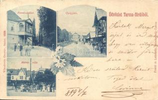 1899 Tarcsafürdő, Tatzmannsdorf; Gyógytér, Mária-villa, forrás épület; Wlaszlovits Gusztáv kiadása / spa buildings, floral