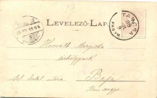 1899 Tarcsafürdő, Tatzmannsdorf; Gyógytér, Mária-villa, forrás épület; Wlaszlovits Gusztáv kiadása /...