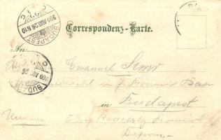 Linz an der Donau, Verlag von Joh. Brunthaler, litho