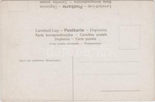 Vienna, Wien; Schönbrunn, slipped text on the backside (EK)