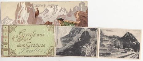 Tamsweg im Lungau; Gross aus dem Gesause, alpinist, leporellocard