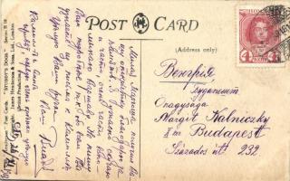 'Out of the running' / Studdy's dogs Series B10 Bonzo dog s: G. E. Studdy