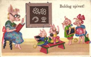 New Year, pig school