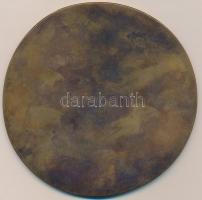 Osváth Mária (1921-) 1982. "Georgi Dimitrov 1882-1949" Br plakett (117mm) T:1-