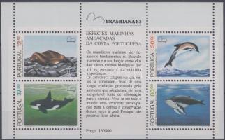 BRASILIANA nemzetközi bélyegkiállítás blokk, BRASILIANA International Stamp Exhibition block