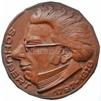 DN "Schubert 1797-1828" Br lemezérem (123mm) T:2,2- ND "Schubert 1797-1828" Br metal medal (123mm) C:XF,VF