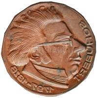 DN "Schubert 1797-1828" Br lemezérem (123mm) T:2,2-
ND "Schubert 1797-1828" Br m...