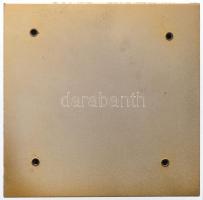 ~1980. "A békemozgalomban végzett kiváló munkáért - Országos Béketanács" plexi és aranyozo...