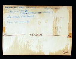 1973 Belgrád, Úszó világbajnokság, Hargitay András világbajnok, hátoldalon feliratozva, kép kissé sz...