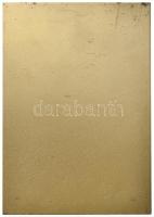 DN "Budapesti Labdarúgó-szövetség (BLSZ) - Kiváló Sportmunkáért" zománcozott, aranyozott B...