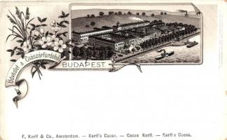 Budapest II. Császár fürdő floral, litho (EK)