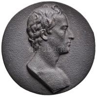 DN "Schiller 1759-1805" vas plakett (90mm) T:1- ND "Schiller 1759-1805" iron plaque (90mm) C:UNC