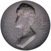 DN "Schiller 1759-1805" vas plakett (90mm) T:1-
ND "Schiller 1759-1805" iron pla...