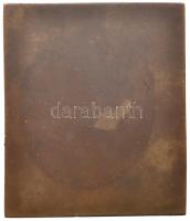 Csehszlovákia 1947. "Jindr. Fügner 1822-1865" Br plakett. Szign.: R. Hájek (60x52mm) T:2-
...