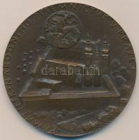 Csehszlovákia 1973. DN "Prágai Irodalmi Múzeum / 1953-1973" Br emlékérem (75mm) T:2
Czecho...