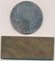 ~1930. Szántó Vető ezüstözött Br emlékérem. Szignó: Huguenin (50mm) + 1895. Szántás Br plakett. Szig...