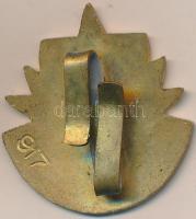 DN "Kiváló Fémgyűjtő" zománcozott fém jelvény, "917" sorszámmal a hátoldalán, dí...