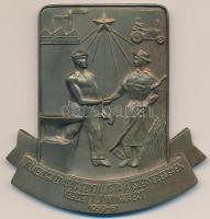 1961. "A mezőgazdaság szocialista átszervezésében végzett jó munkáért" fém emlékplakett dísztokban (85x82mm) T:2