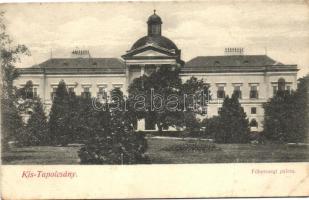 Kistapolcsány, Főhercegi palota / palace (fa)