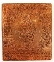 Sebestyén Sándor (1949-): Fogathajtó VB 1984. két oldalas bronz plakett, jelzett, 12×10,6 cm