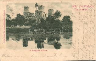 1899 Miskolc, Diósgyőri várrom, kiadja Lővy József fia (EK)