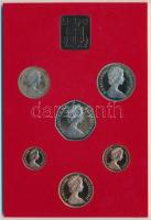 Nagy-Britannia 1981. 1/2p-50p 6klf db + "Elizabeth R-Royal Mint" Br szögletes emlékérem, s...