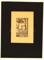 Kozma Lajos (1884-1948):Ez a könyv Dr Balassa Józsefé ex libris, fametszet, papír, jelzés nélkül, paszpartuban 9,5×6 cm