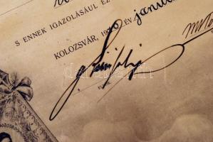 1910 Kolozsvár, Erdélyi Kárpát Egyesület díszes oklevél. Városképekkel, jó állapotban 50x70 cm