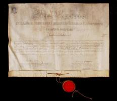 1897 Filozófiai diploma. Pergamenen, jó állapotban, jó viasz függőpecséttel 70x90 cm