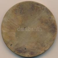 Holló 1965. "Ady" Br plakett (68mm) T:2