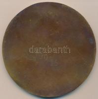 Horváth Tibor (1958-) 1993. "Vác - a Szentháromság oszlop újraszentelése alkalmából" Br em...