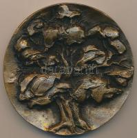 Martsa István (1899-1986) 1964. "Bábolnai Állami Gazdaság" Br plakett (84mm) T:2