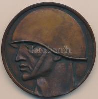 ~1970. "1514-1848-1919 / Magyar Néphadsereg" bronz plakett adományozói dísztokban T:1