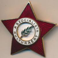 ~1970. "A Szocialista Kultúráért" zománcozott kitüntetés dísztokban T:1