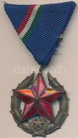 1951-. "Közbiztonsági Érem" bronz fokozata a rendőrség tagjai részére mellszalaggal, dísztokban T:1-